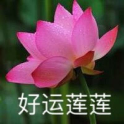 广东启动疫情防控追责调查 不能以问责基层“甩锅”推责